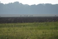 DSC07360