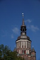 DSC07377