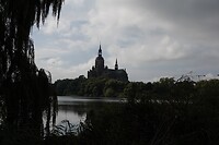 DSC07497