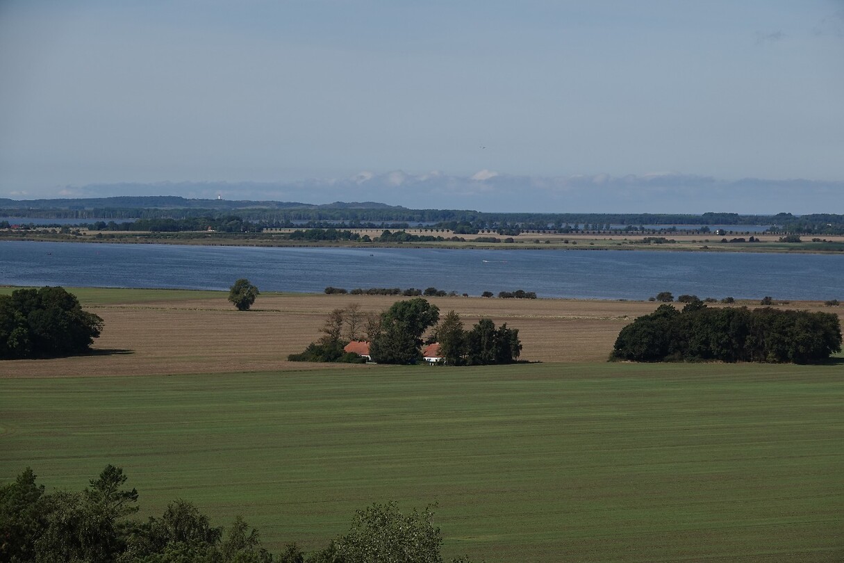 DSC07606