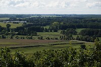 DSC07638