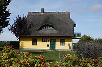 DSC07669