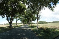 DSC07782