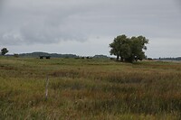 DSC07903