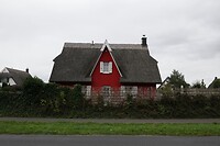 DSC07990