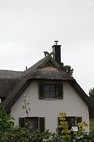 DSC07992