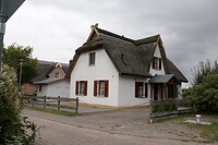 DSC07995