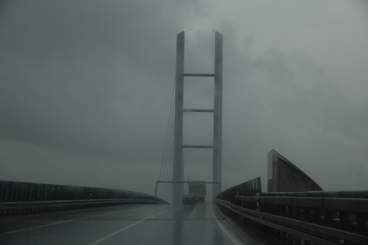 DSC08005