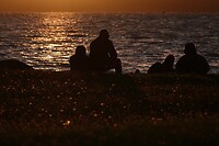 DSC08034