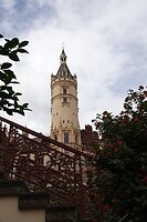 DSC08077