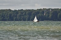 DSC08179