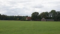 DSC08385-01