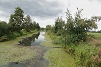 DSC08396-02