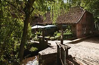DSC08427-01