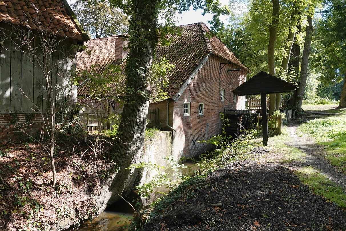 DSC08433-01