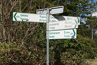 DSC08434-01