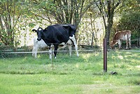 DSC08435-01