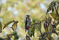 DSC08455-01