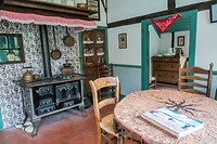 DSC08500