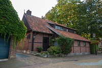 DSC08521