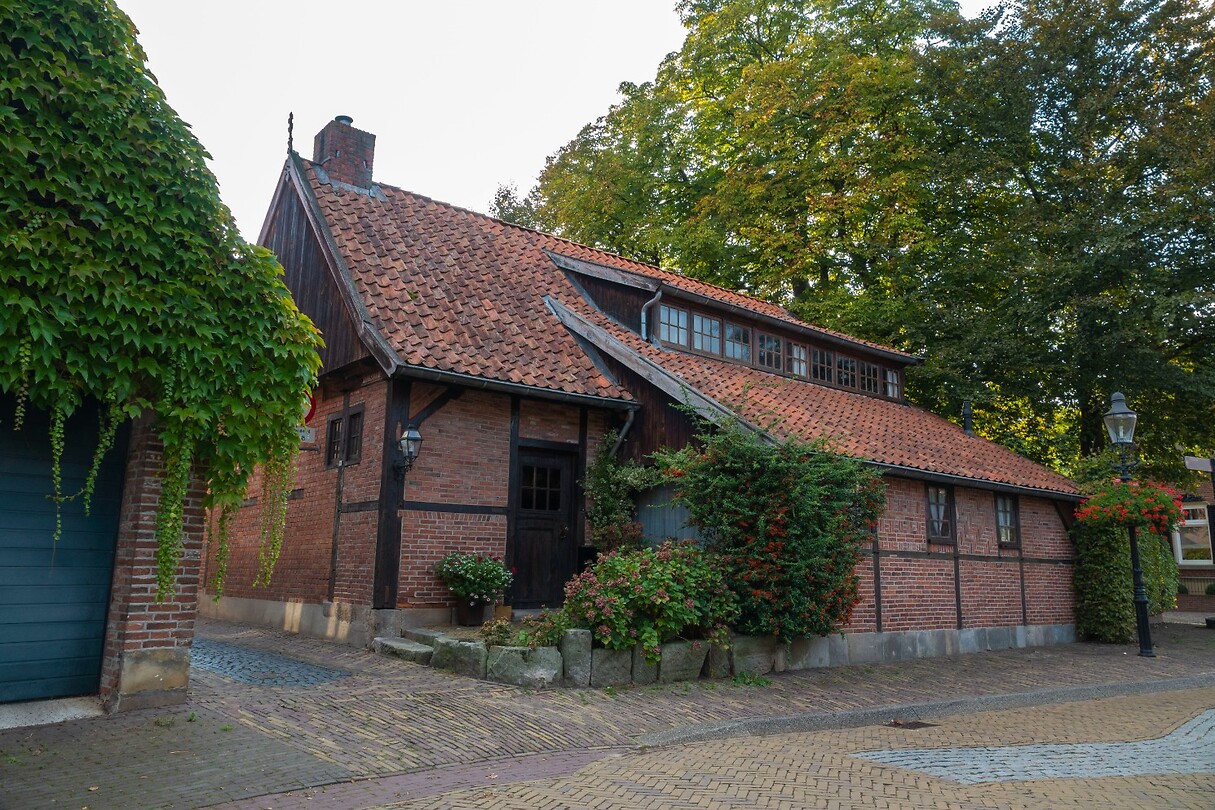DSC08521