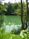 rivier de Sava