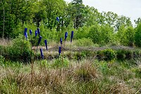 PSX_20230515_163107-01