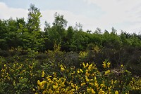 _DSC7795-01