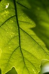_DSC7798-01