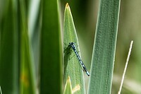 _DSC7806-01