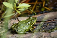 _DSC7820-01