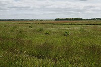 _DSC7842-01
