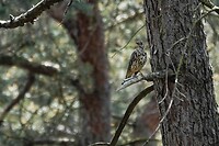 _DSC7860-01