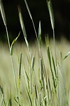 _DSC8238-01