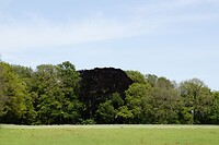 _DSC8235-02