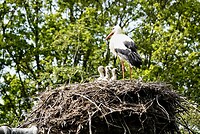 _DSC8229-01