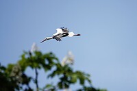 _DSC8205-02