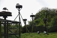 _DSC7950-01