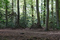 _DSC7933-01