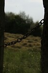 DSC02698
