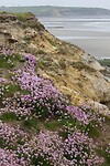 DSC02610