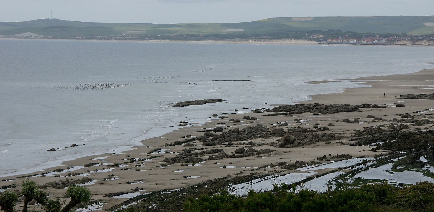 DSC02629