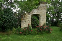 DSC02765