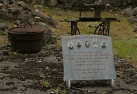 DSC02860