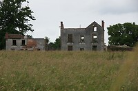 DSC02939