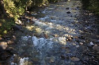 DSC01396