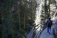 DSC01440