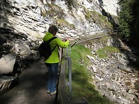IMG_3785