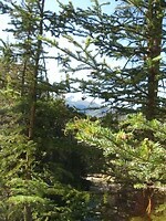 IMG_3800