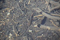 DSC01483
